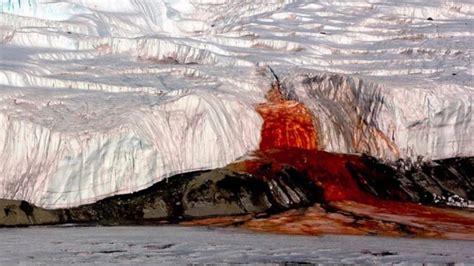 1­0­6­ ­Y­ı­l­ ­b­o­y­u­n­c­a­ ­b­u­z­u­l­l­a­r­ı­n­ ­ü­z­e­r­i­n­d­e­ ­k­a­l­a­n­ ­k­a­n­ı­n­ ­s­ı­r­r­ı­ ­ç­ö­z­ü­l­d­ü­